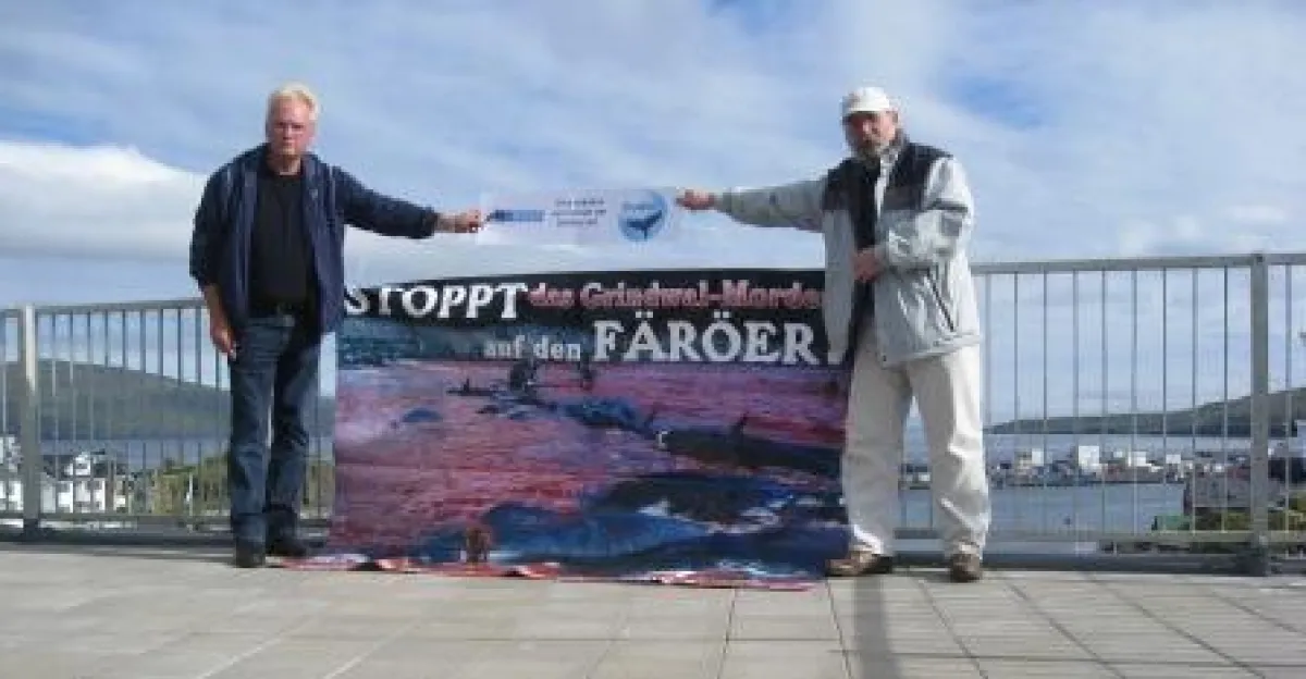Walschützer befestigen ein Anti-Walfang-Banner auf einem Färöer-Hoteldach