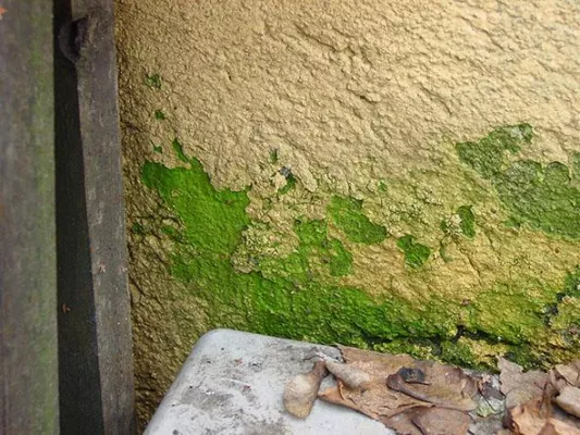 Bild: Umweltfreundliche Wärmedämm-Verbundsysteme für Bestandsbauten