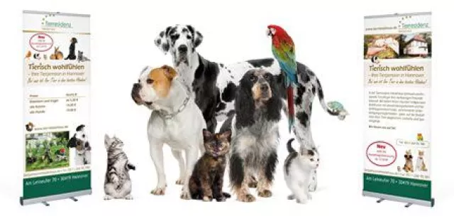 Bild: Fünf Sterne Urlaub für Kleintier, Vogel, Hund, und Katze