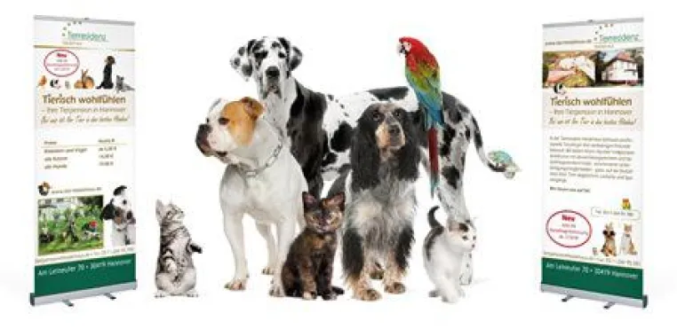 Fünf Sterne Urlaub für Kleintier, Vogel, Hund, und Katze Bild: Fünf Sterne Urlaub für Kleintier, Vogel, Hund, und Katze
