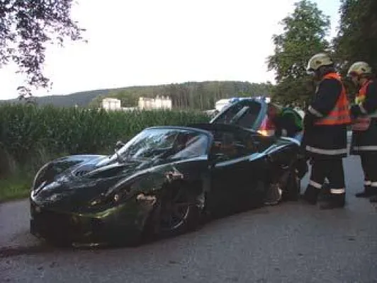 Bild: Lotus gegen Baum