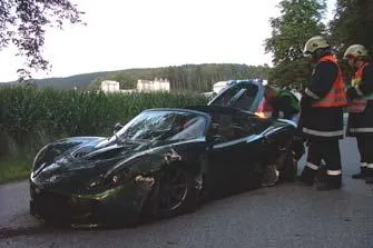 Bild: Lotus gegen Baum