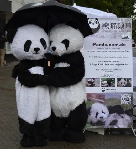 Bild: Über 1000 Besucher haben Giant Pandas live gesehen