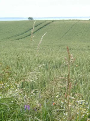 Bild: Erdwärme fürs Leben – Zukunft für Mensch und Natur in Norddeutschland