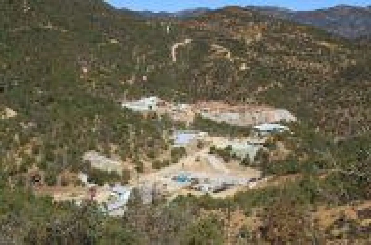 EDR-Mine