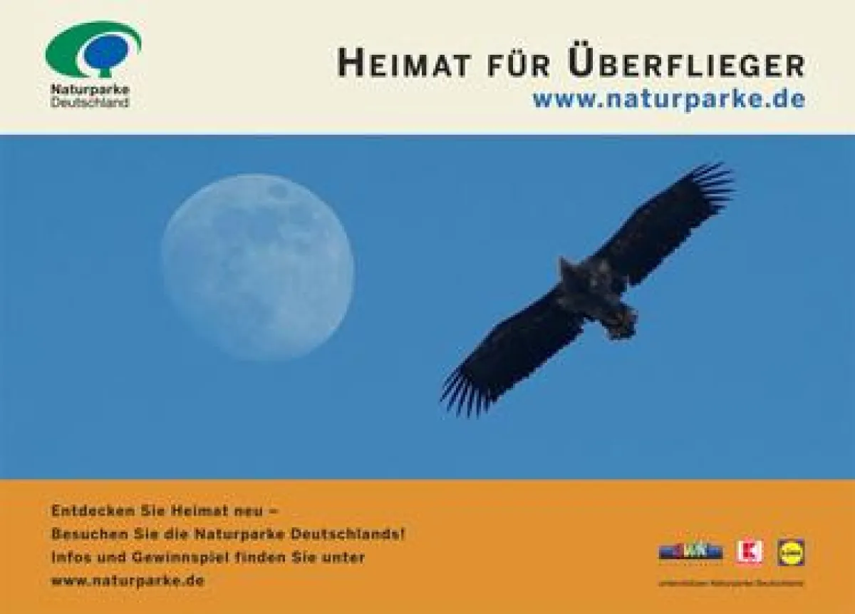 Erlebnis Wildtier in der Dübener Heide