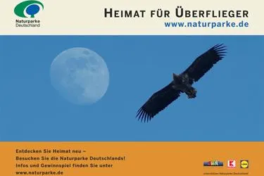 Bild: Am 2. November ist Heidesonntag im Naturpark Dübener Heide