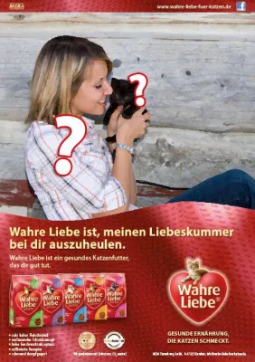 Bild: Großer Wettbewerb. Wahre Liebe für Katzen sucht die schönste Mensch-Katze-Geschichte