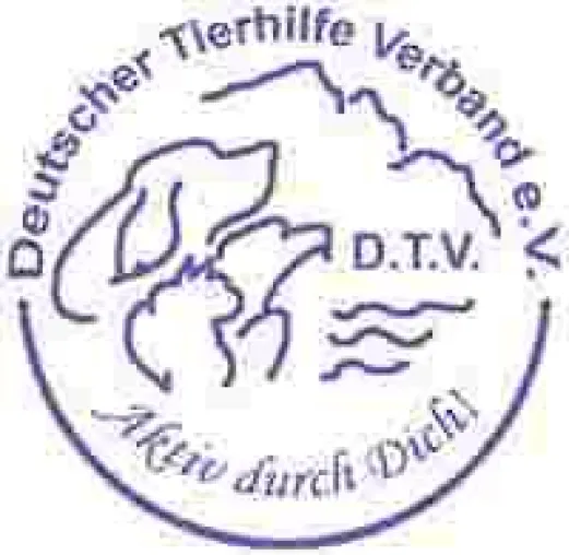 Deutscher Tierhilfe Verband kritisiert - Tierversuche sind der falsche Weg Bild: Deutscher Tierhilfe Verband kritisiert - Tierversuche sind der falsche Weg