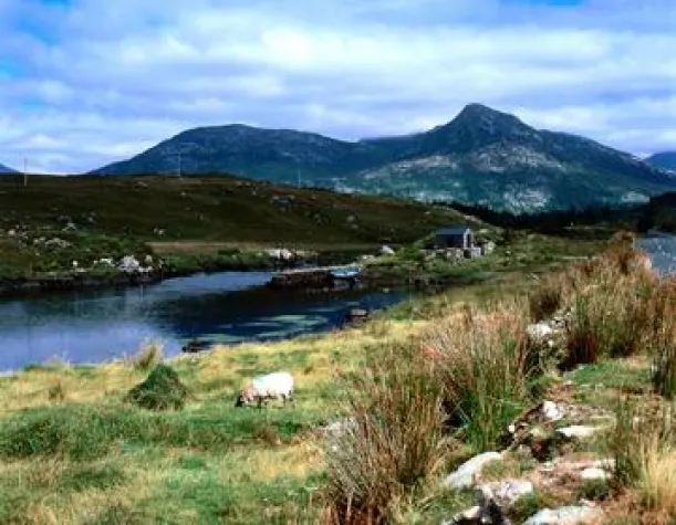Bild: Irland-Rundreise mit Stena Line - Klischees von Kleeblättern, Kelten und Kreuzen