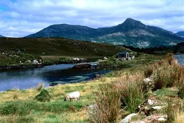 Irland-Rundreise mit Stena Line - Klischees von Kleeblättern, Kelten und Kreuzen Bild: Irland-Rundreise mit Stena Line - Klischees von Kleeblättern, Kelten und Kreuzen