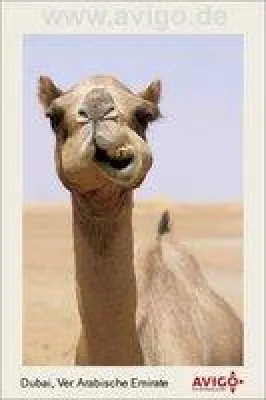 Bild: Neu auf Avigo.de: E-Cards mit Motiven des renommierten Reisefotografen Holger Leue