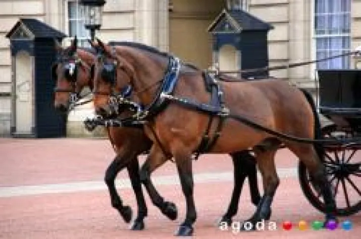 Bild: Agoda.de gibt sich bei der königlichen Hochzeit in London die Ehre