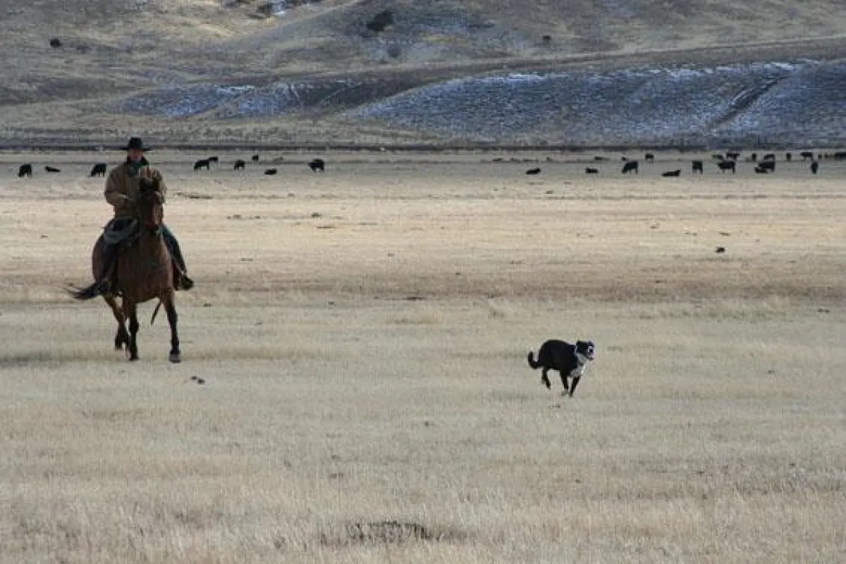 Maggie Creek Ranch_Travelnevada