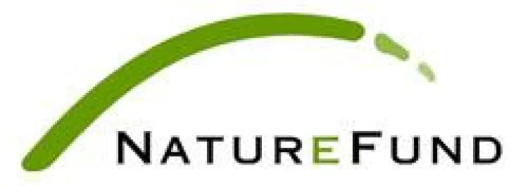 Bild: Bremer Agenturenverbund tritt „Naturefund Wald Netzwerk“ bei