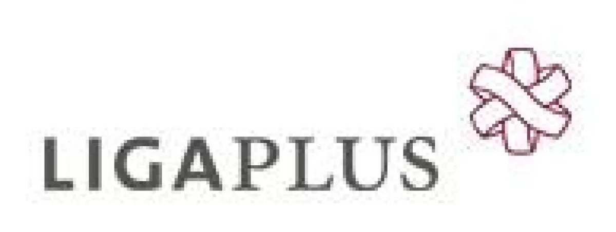 WOLF entwickelt Corporate Design für Ligaplus