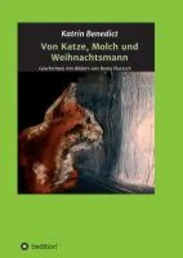 Bild: Von Katze, Molch und Weihnachtsmann - Geschichten mit Bildern von Romy Pietzsch