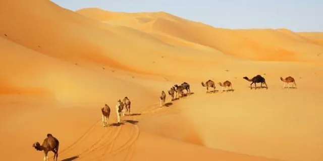 Bild: Mit Reisebuchautor Henning Neuschäffer unterwegs im Oman – Kameltrekking in der Wüste Rub al Khali