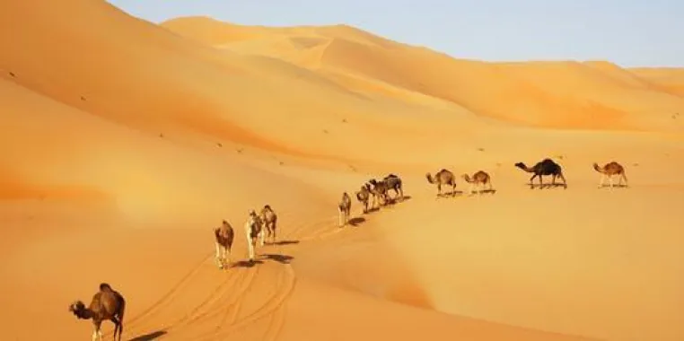 Bild: Mit Reisebuchautor Henning Neuschäffer unterwegs im Oman – Kameltrekking in der Wüste Rub al Khali