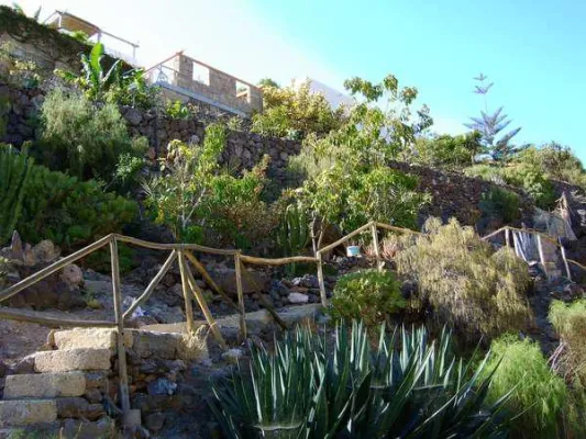 Bild: Rasantes Windsurfen auf Teneriffa