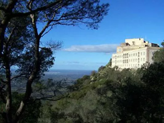 Bild: Unter Mallorcas Sonne gezielt Unternehmenserfolge optimieren