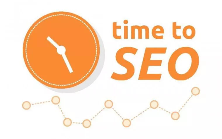 Statements des SEO Experten für feines Online Marketing Bild: Statements des SEO Experten für feines Online Marketing