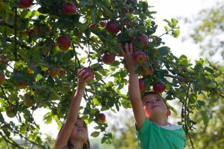 Prächtige Barockbauten und alte Obstbäume: Unterwegs auf dem Apfel-Radweg im Bayerischen Golf- und Thermenland Bild: Prächtige Barockbauten und alte Obstbäume: Unterwegs auf dem Apfel-Radweg im Bayerischen Golf- und Thermenland