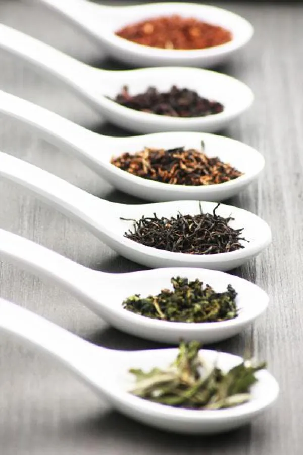 Verschiedene hochwertige Teesorten - www.tea-exclusive.de