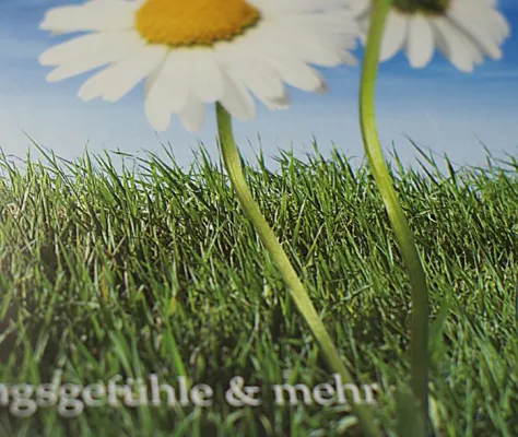 Bild: Qualitätsoffensive bei der Frick Werbeagentur