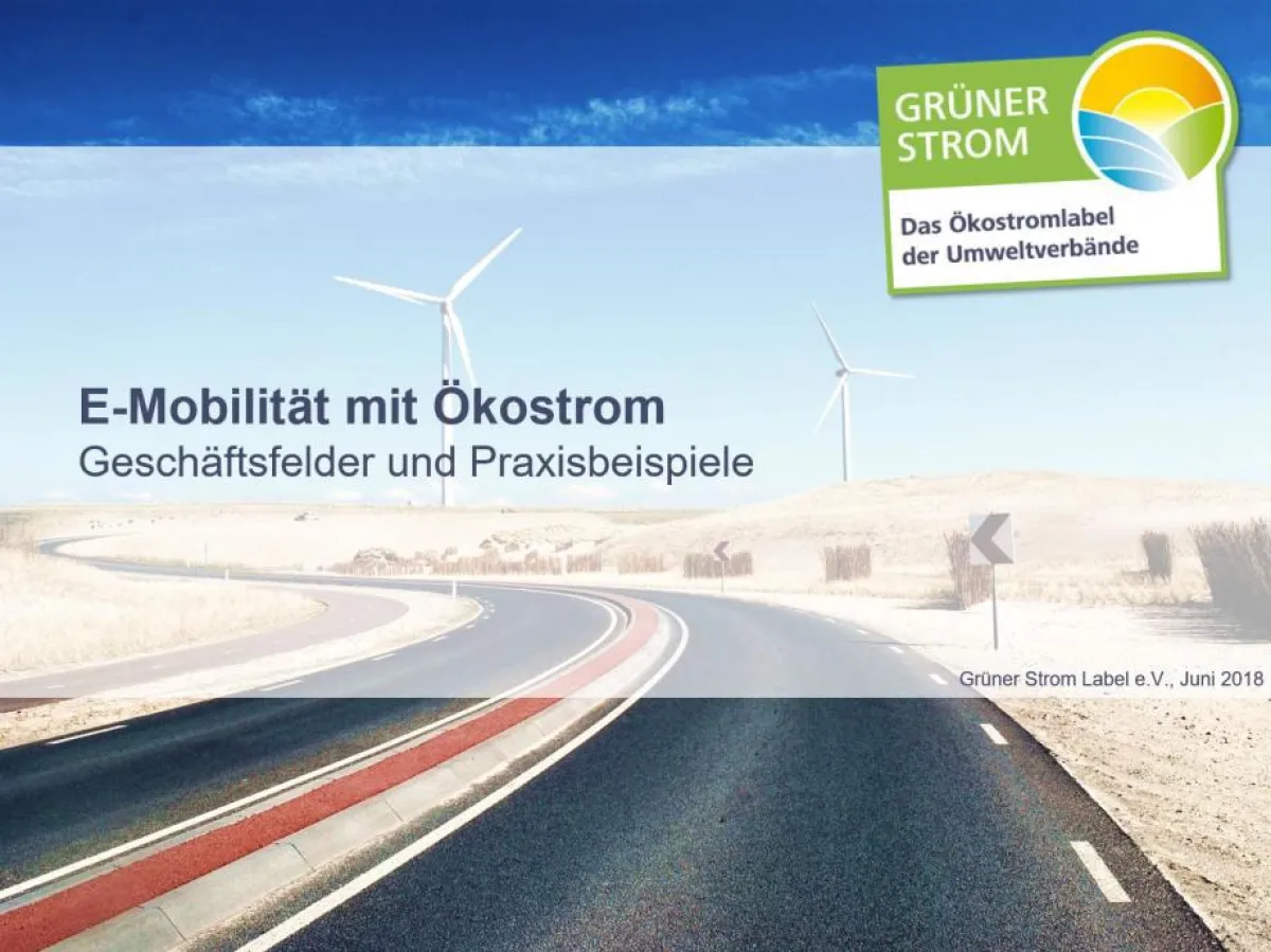 Broschüre ‚E-Mobilität mit Ökostrom‘ mit konkreten Praxisbeispielen und Geschäftsfeldern