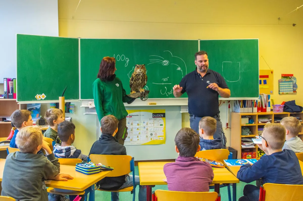 Schulbesuch mit Europäischen Uhu des WIldpark Müden