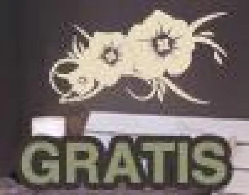 Bild: Fans fiebern für Gratis-Wandtattoo-Aktion auf facebook.com/Klebefieber
