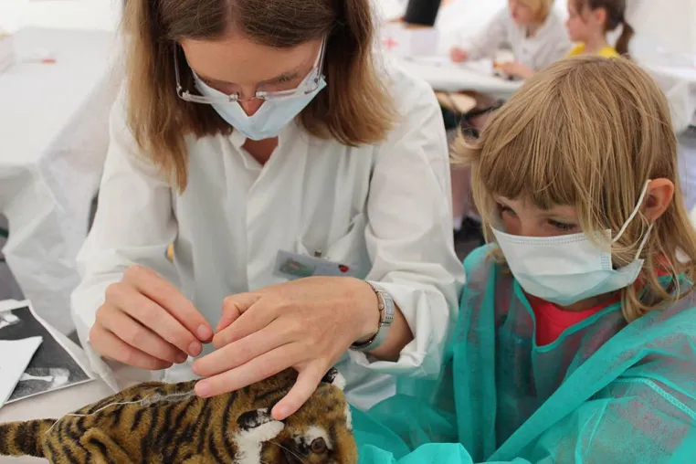 Bild: Medizinstudenten heilen Kuscheltiere – und nehmen Kindern die Angst vorm Arztbesuch