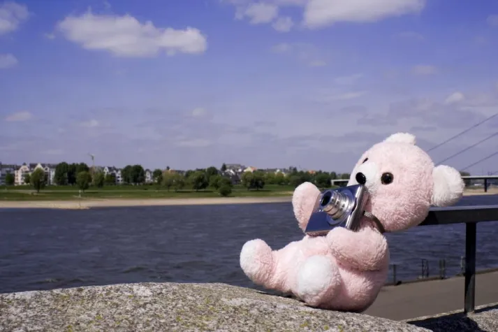 Bild: Kuscheltiere erforschen Düsseldorf