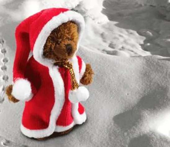 Bild: TeddyDelivery erreicht Rekordabsatz von Weihnachtsgeschenken