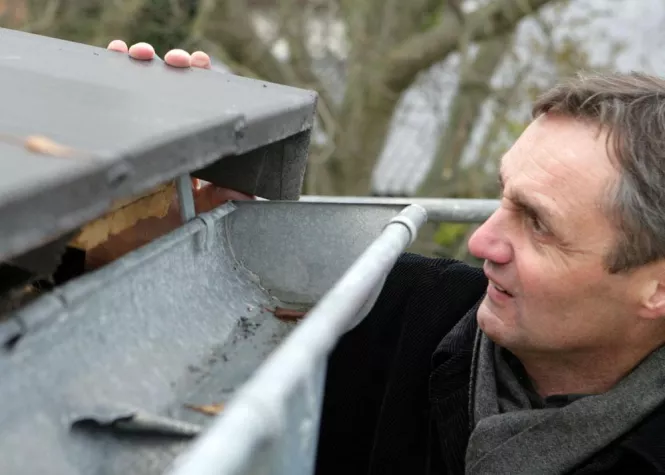 Bild: Frühjahrs-Check am Haus: Jetzt Winterschäden beseitigen