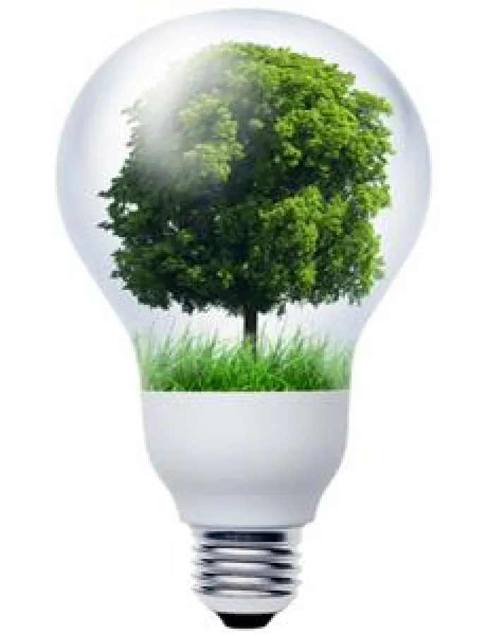 Starbett GmbH schont die Umwelt