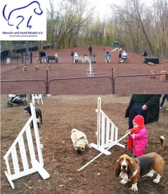 Bild: Öffentlicher Hundeauslauf in Moabit eröffnet