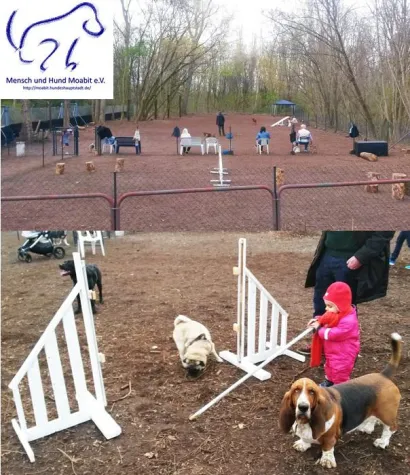 Bild: Öffentlicher Hundeauslauf in Moabit eröffnet