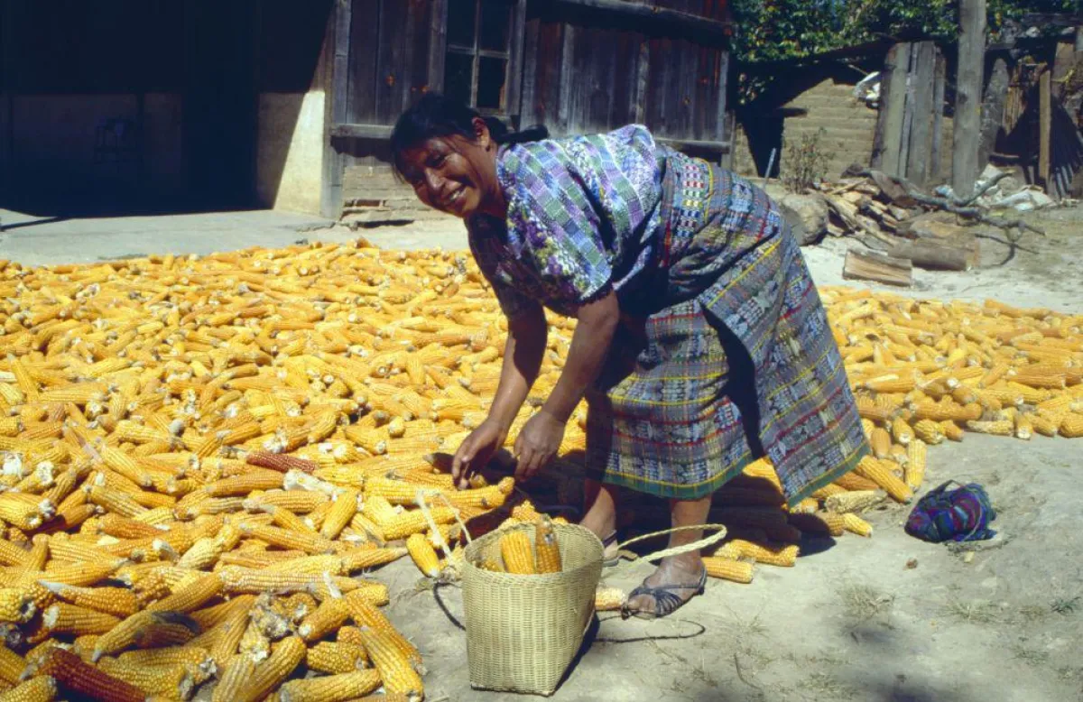 (Foto: Frank Herrmann)