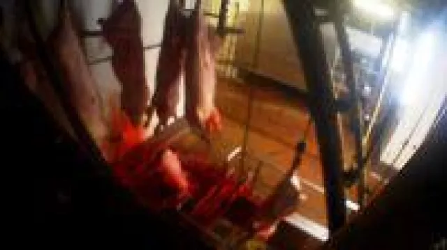 Bild: Skandal-Schlachthof Leine-Fleisch verliert Abnehmer - ALDI Süd und Nord beenden Lieferbeziehungen
