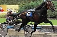 Bild: Hambletonian 2008 - Höhepunkt der Trabersaison