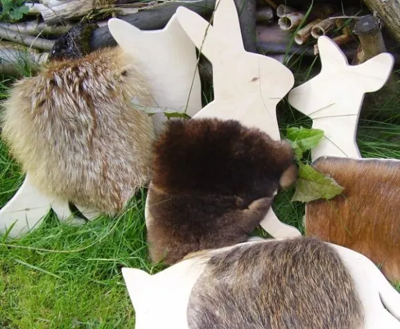 Der hat aber lange Ohren -- Mit Tasttieren von Luftifux spielerisch die Natur erkunden Bild: Der hat aber lange Ohren -- Mit Tasttieren von Luftifux spielerisch die Natur erkunden