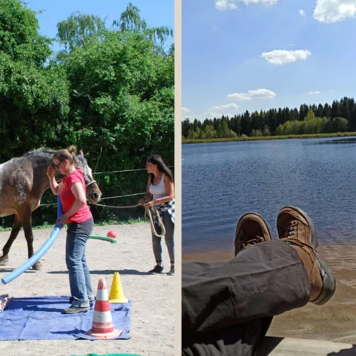 Bild: Das Fichtelgebirge ruft: Familienharmonie durch Pferdecoaching