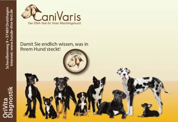 Bild: CaniVaris - „Der“ DNA-Test für Mischlingshunde mit erweitertem Service und Sonderaktion