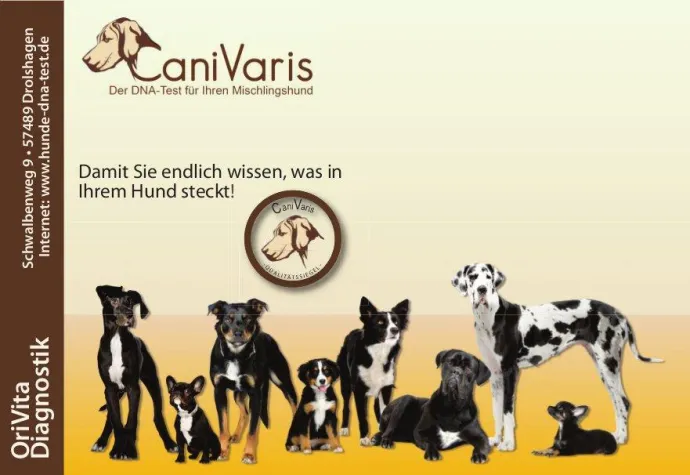 CaniVaris - „Der“ DNA-Test für Mischlingshunde mit erweitertem Service und Sonderaktion Bild: CaniVaris - „Der“ DNA-Test für Mischlingshunde mit erweitertem Service und Sonderaktion