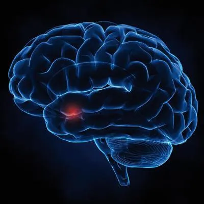 Bild: Übergewicht an der Wurzel packen im Vitalis Gesundheitszentrum Düsseldorf