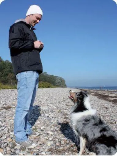 Bild: Effektive Formel zum Kommunikationsaufbau zwischen Mensch und Hund