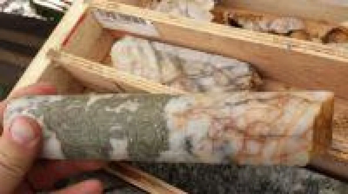 Bohrkern vom Gold Drop-Projekt; Foto: GGX Resources