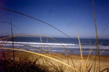 Bild: Camping Urlaub 1994 in Frankreich- Es war Schnarchen - Schlafapnoe